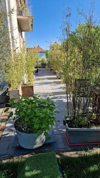 Gite La Passerelle Διαμέρισμα Ostheim Εξωτερικό φωτογραφία